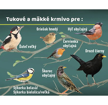 Ilustrácia rôznych druhov vtákov, ktoré jedia tukové a mäkké krmivo.