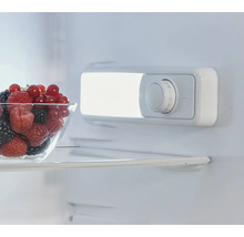 Vnútorný priestor chladničky s miskou bobúľ a regulátorom teploty