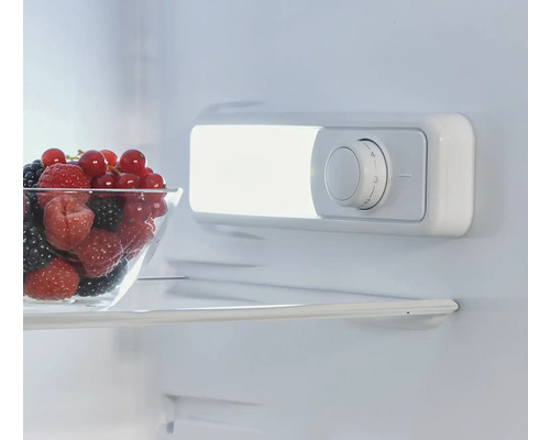 Vnútro chladničky s regulátorom teploty a miskou bobúľ