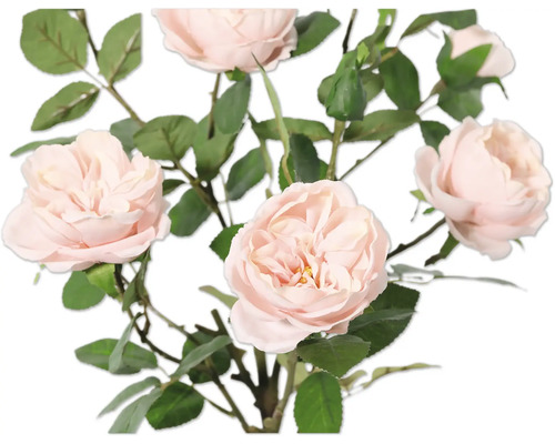 Kytica s jemnými ružovými kvetmi a zelenými listami