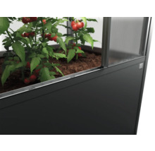 Vyvýšený záhon s paradajkami v skleníku