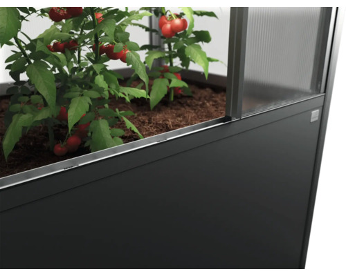 Vyvýšený záhon s paradajkami v skleníku