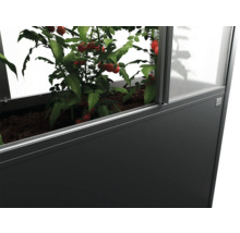 Vyvýšený záhon s rastlinou paradajky