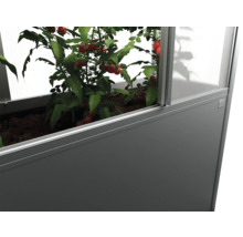 Vyvýšený záhon s rastlinami paradajok v skleníku