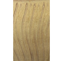 Detailný pohľad na reliéfnu štruktúru