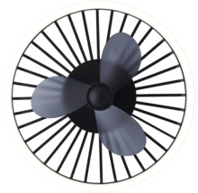 Stropný ventilátor s osvetlením