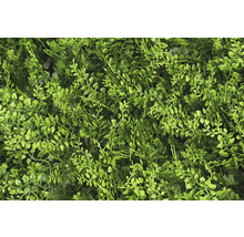 Umelá rastlinná stena s rôznymi zelenými listami na dekoráciu