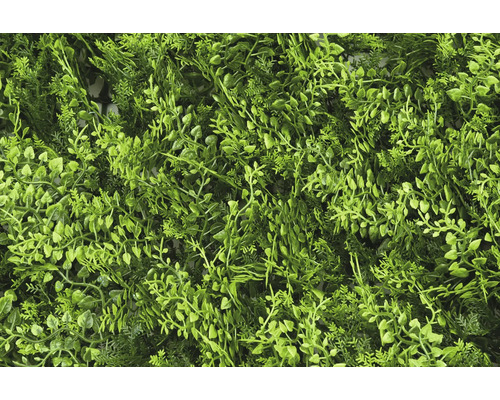 Umelá rastlinná stena s rôznymi zelenými listami na dekoráciu