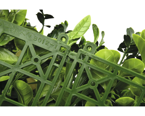 Detailný záber panelov z umelého buxusového živého plota spojených dohromady