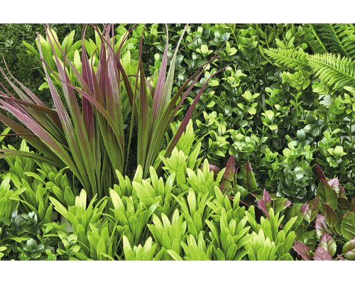 Umelá stena z rastlín s papradinami a listami