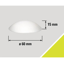 Obrázok s rozmermi: priemer 60 mm, výška 15 mm