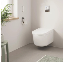 Moderná kúpeľňa so závesným záchodom, držiakom toaletného papiera a izbovou rastlinou