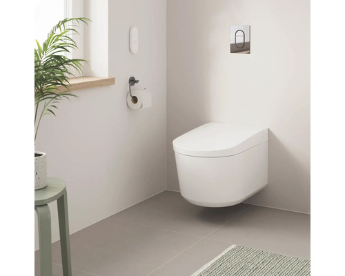 Moderná kúpeľňa so závesným záchodom, držiakom toaletného papiera a izbovou rastlinou