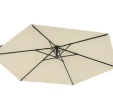 Pohľad zhora na slnečník s rebrami