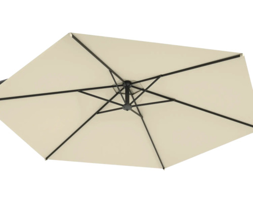 Pohľad zhora na slnečník s rebrami