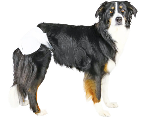 Pes s inkontinenčnou plienkou