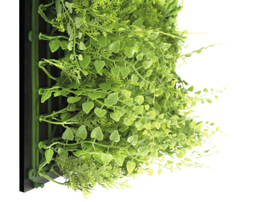 Stena z umelých rastlín s rôznymi zelenými rastlinami