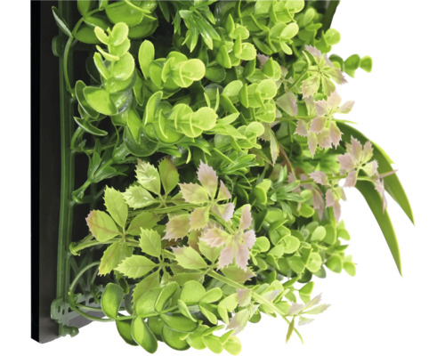 Umelá stena z rastlín s rôznymi zelenými listami