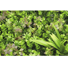 Umelá rastlinná stena s rôznymi zelenými listami