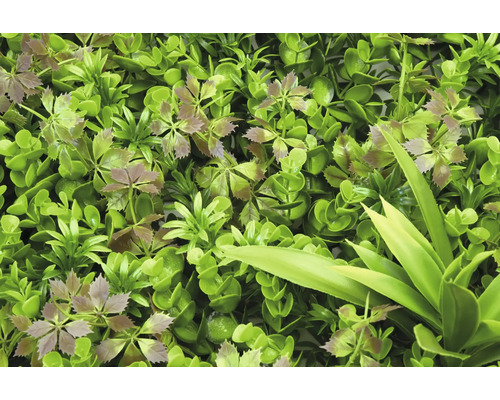 Umelá rastlinná stena s rôznymi zelenými listami