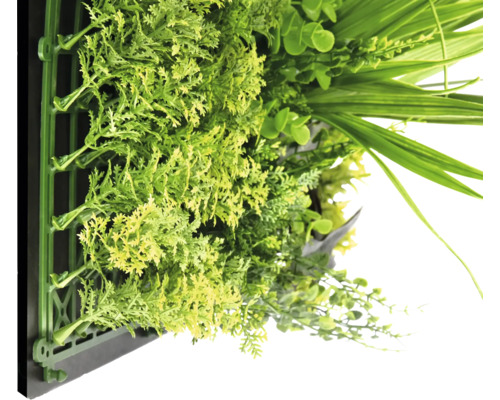 Umelá zelená stena s rôznymi rastlinami