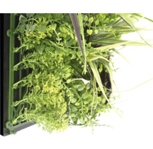 Umelá rastlinná stena s rôznymi druhmi zelene