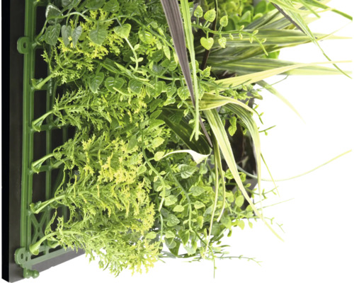 Umelá rastlinná stena s rôznymi druhmi zelene