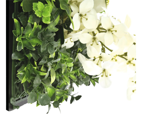 Umelá stena z rastlín so zelenými rastlinami a bielymi kvetmi