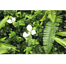 Umelá zelená rastlinná stena s bielymi kvetmi a papradinami