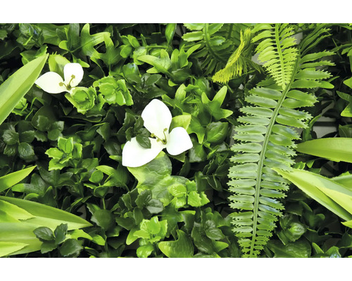 Umelá zelená rastlinná stena s bielymi kvetmi a papradinami