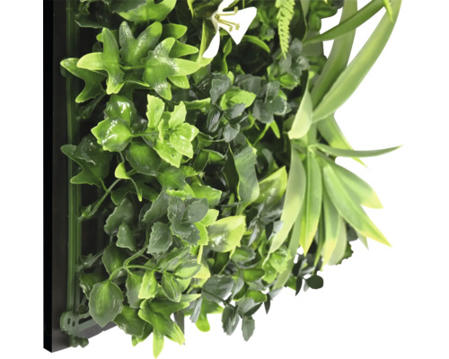 Umelá stena z rastlín s rôznymi zelenými listami a bielym kvetom