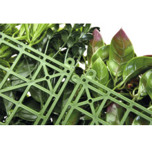 Detailný záber umelého živého plota so zelenými listami a zelenou plastovou mriežkou