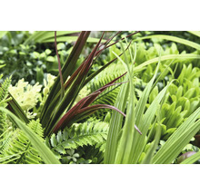 Detailný pohľad na rôzne umelé rastliny