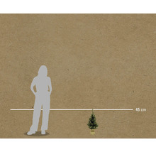 Obrázok malého vianočného stromčeka s výškou 45 centimetrov