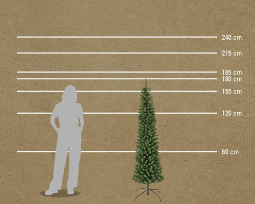 Porovnanie veľkosti úzkej vianočnej jedle s osobou a meracími linkami v centimetroch