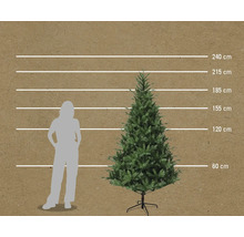 Porovnanie veľkostí umelého vianočného stromčeka so ženou a údajmi o veľkosti