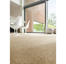 Interiér s kobercom, stoličkami a veľkým oknom