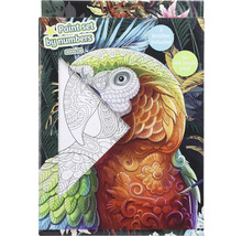 Maľovanie podľa čísel sada s motívom papagája, vrátane troch štetcov a dvanástich akrylových farieb.