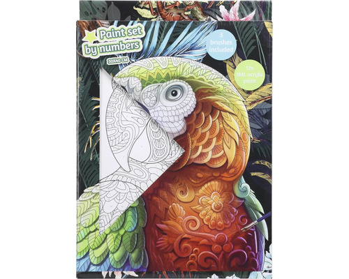 Maľovanie podľa čísel sada s motívom papagája, vrátane troch štetcov a dvanástich akrylových farieb.