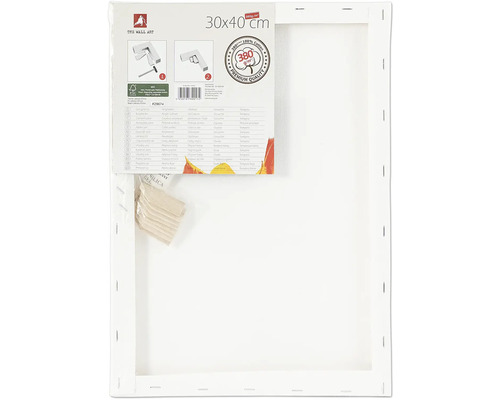 Plátno na ráme, 30 x 40 centimetrov