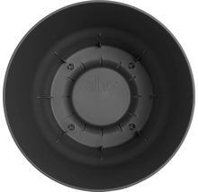 Pohľad zvnútra na kvetináč