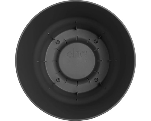 Pohľad zvnútra na kvetináč