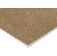 Dlaždica so škvrnitým povrchom