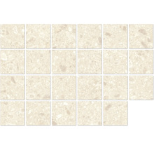 Dlažbová mozaika z kameniny s hrubým povrchom