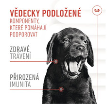 Ilustrácia s textom o vedecky podložených zložkách pre zdravé trávenie a prirodzenú imunitu a logo Royal Canin