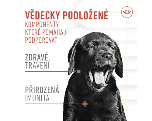 Ilustrácia s textom o vedecky podložených zložkách pre zdravé trávenie a prirodzenú imunitu a logo Royal Canin