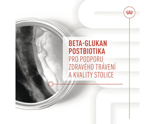 Beta glukán postbiotiká pre podporu zdravého trávenia a kvality stolice