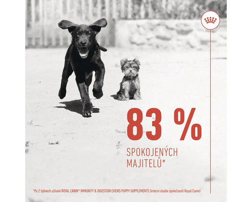 Dva psy rôznej veľkosti, logo Royal Canin, informácie o spokojnosti zákazníkov