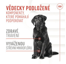 Ilustrácia zložiek krmiva na podporu trávenia pre psy