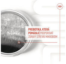 Prebiotiká, ktoré pomáhajú podporovať zdravý črevný mikrobióm.